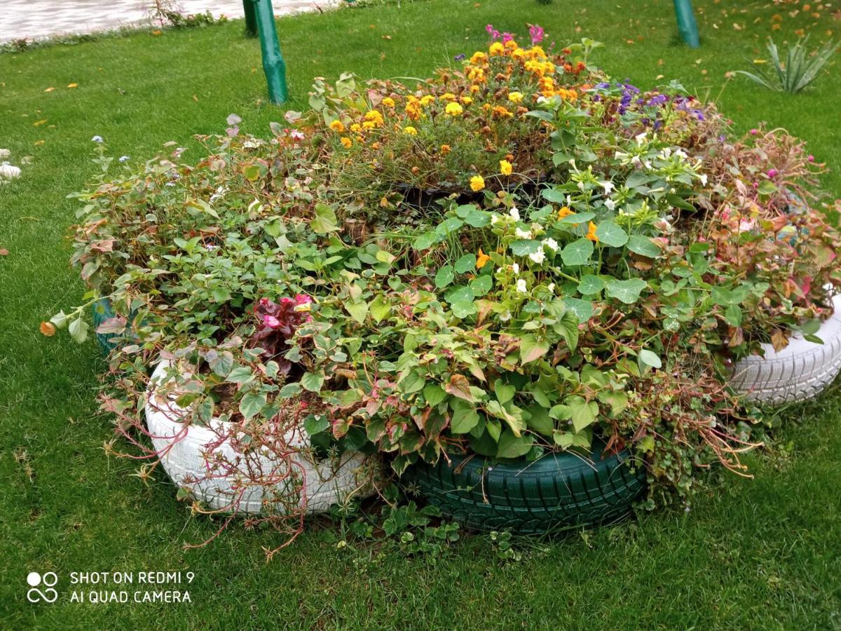 Guest House Vila Banjica Pirot Exterior foto
