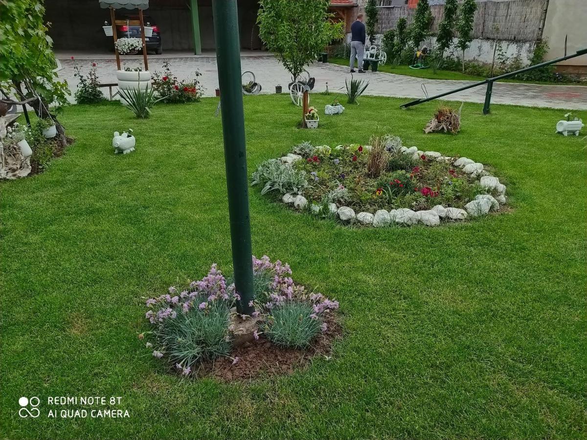 Guest House Vila Banjica Pirot Exterior foto