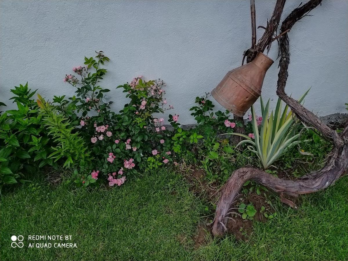 Guest House Vila Banjica Pirot Exterior foto